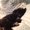 Photo of evette i.