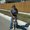 Photo of Amber L.