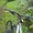 Photo of Qype User (umdiec…)