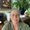 Photo of Terese R.
