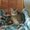 Photo of Sandi M.