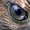 Photo of Qype User (hawk…)