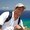 Photo of Steve M.