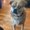 Photo of Bluey W.