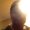 Photo of Sundeep R.