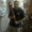 Photo of Mike L.