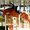 Photo of Cityvox User (isabel…)