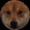 Photo of MattPill Gaming