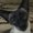 Photo of Buddy S.