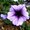 Photo of Rachel M.