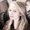 Photo of Nadia T.
