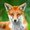 Photo of Qype User (tim049…)