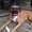 Photo of Joey M.