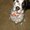 Photo of Missie H.