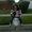 Photo of Alicia G.