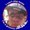 Photo of Adam S.