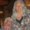 Photo of Marcia R.