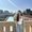 Photo of Shadi R.