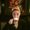Photo of Jen K.