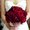 Photo of Mayra S.