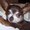 Photo of Michele S.