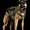 Photo of Riley The War Dog W.