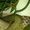 Photo of Qype User (Richar…)