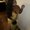 Photo of Bria R.