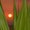 Photo of Qype User (susidi…)