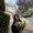 Photo of Noor A.