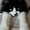 Photo of Cityvox User (lollip…)