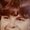 Photo of Tina R.