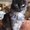 Photo of Qype User (sonjah…)
