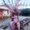Photo of Khanh T.