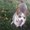 Photo of Jori B.