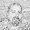 Photo of James S.