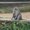 Photo of Qype User (benfie…)