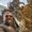 Photo of Andrii F.