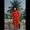 Photo of Anamika S.