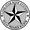 Photo of Lone-Star R.