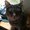 Photo of Lorie G.