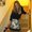 Photo of Vanessa K.