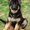 Photo of Lexie V.
