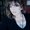 Photo of Melissa B.