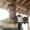 Photo of Davon M.