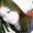 Photo of Lani M.
