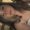 Photo of Jazmin L.