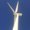 Photo of Wind W.