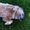 Photo of Lily S.