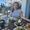 Photo of Tatiana N.
